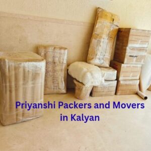 Professional packers and movers in Kalyan West for household shifting.