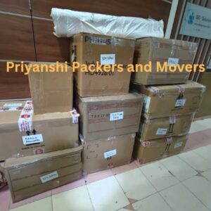 Professional packing of fragile crockery and kitchen items by Priyanshi Packers in Thane East.